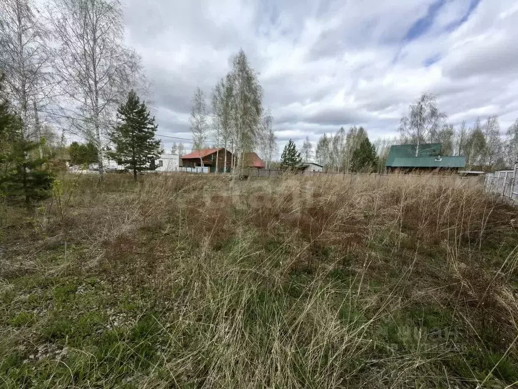 Участок в Новосибирская область, Искитимский район, Мичуринский ... - Фото 0