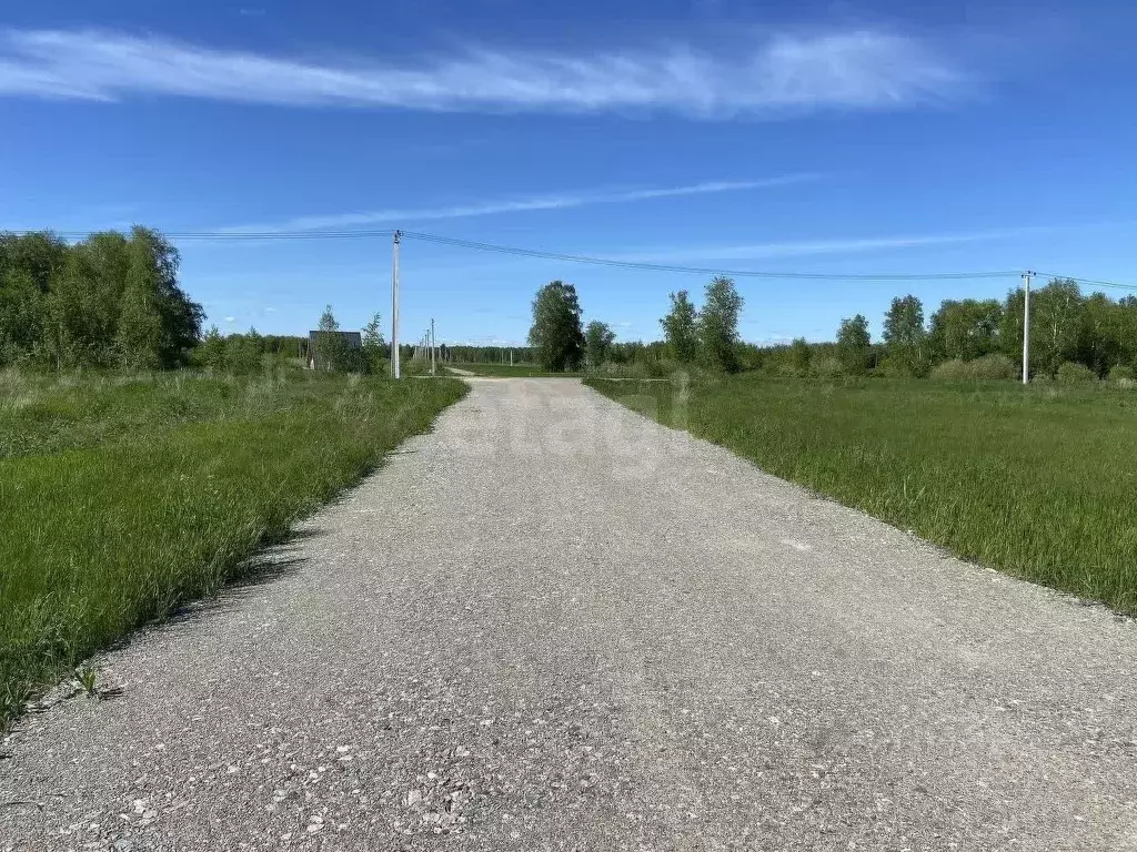 Участок в Тюменская область, Тюменский муниципальный округ, Дачи Хюгге ... - Фото 1