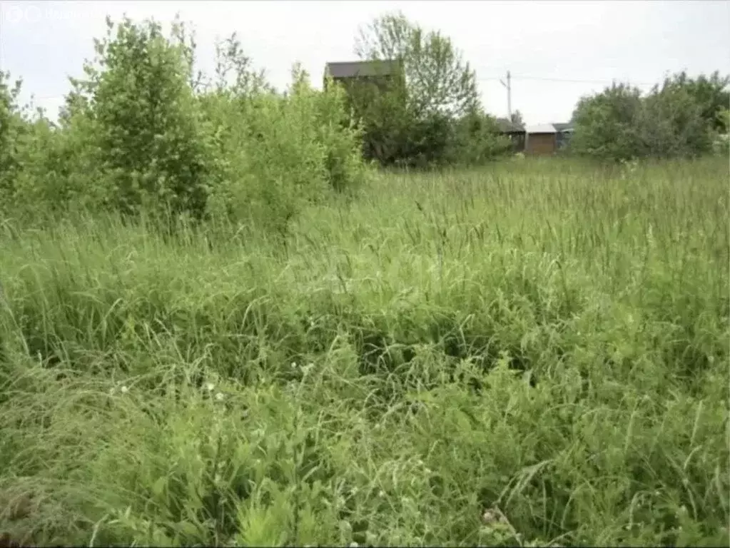 Участок в Кемеровский муниципальный округ, СНТ Шахтостроитель (15 м) - Фото 1