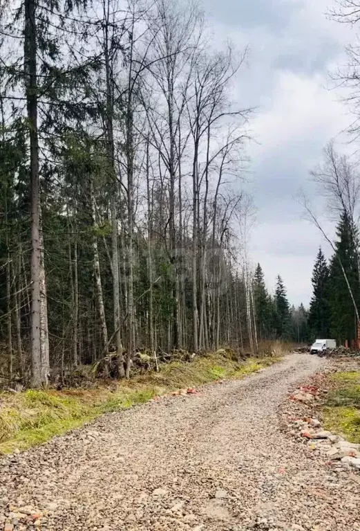 Участок в Московская область, Одинцовский городской округ, д. Сивково, ... - Фото 0