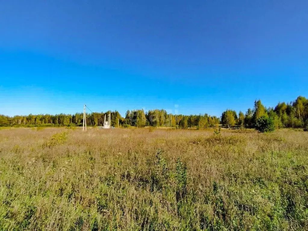 Участок в Ярославская область, Ярославский муниципальный округ, д. ... - Фото 1