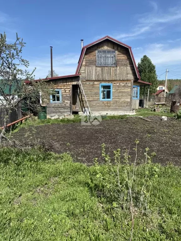 Участок в Новосибирская область, Тогучинский район, Кондитер СНТ 138 ... - Фото 1