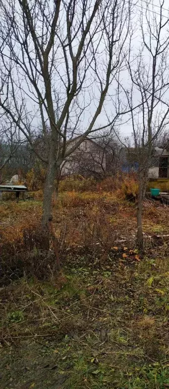 Дом в Тамбовская область, Тамбов Ромашка СНТ, 6 (15 м) - Фото 1