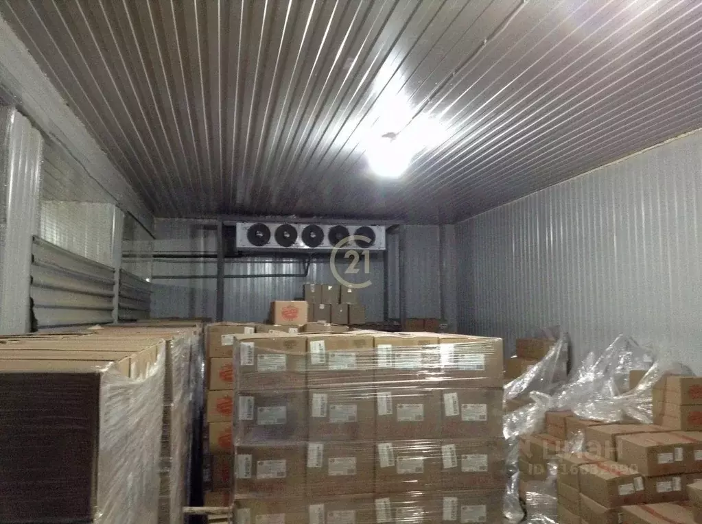 Помещение свободного назначения в Тамбовская область, Тамбов ... - Фото 1