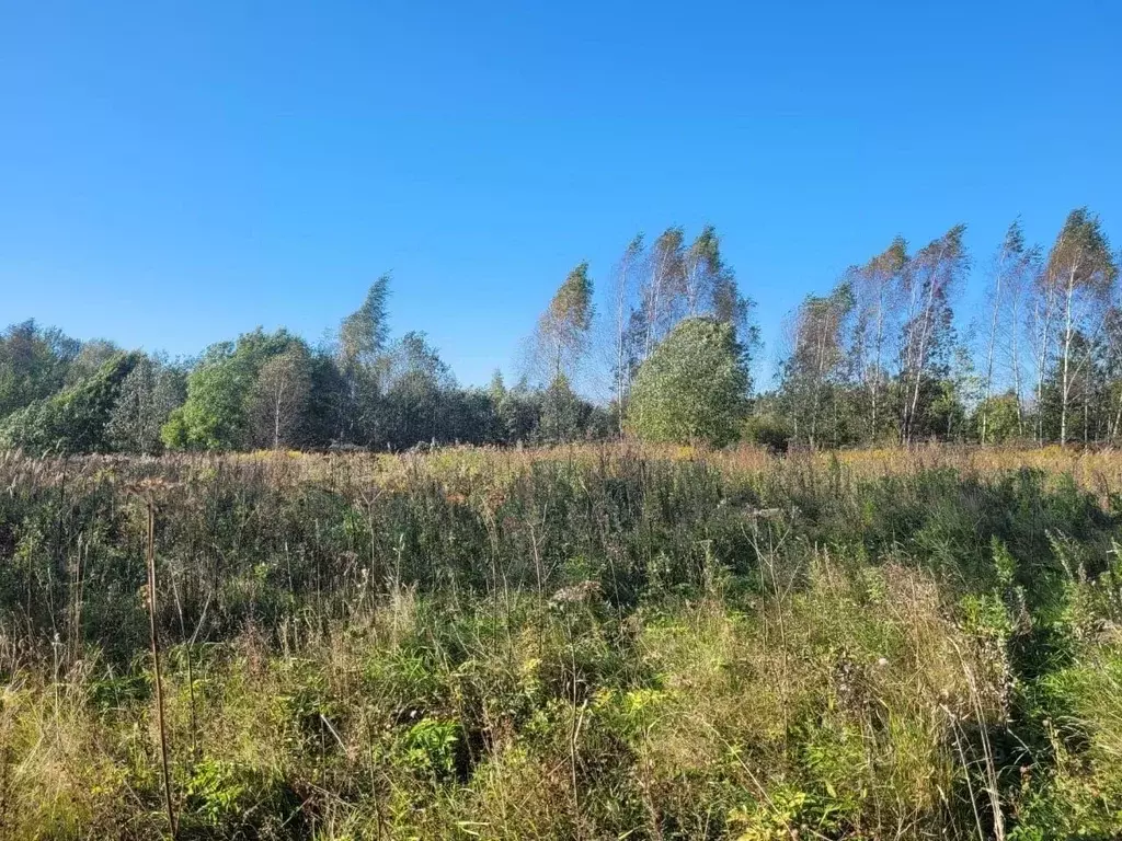 Участок в Московская область, Клин городской округ, д. Коськово  (2.0 ... - Фото 2