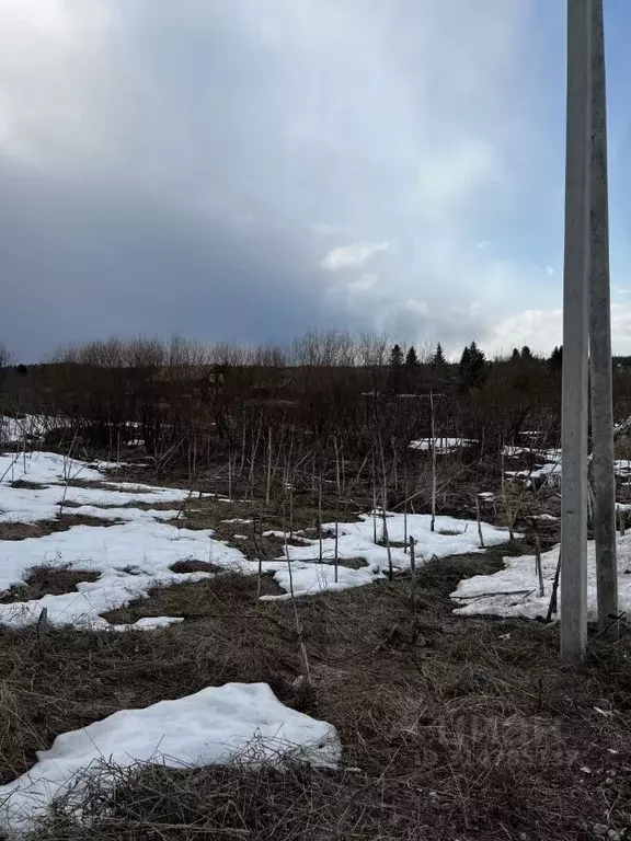 Участок в Пермский край, д. Болгары ул. Мира (13.0 сот.) - Фото 2