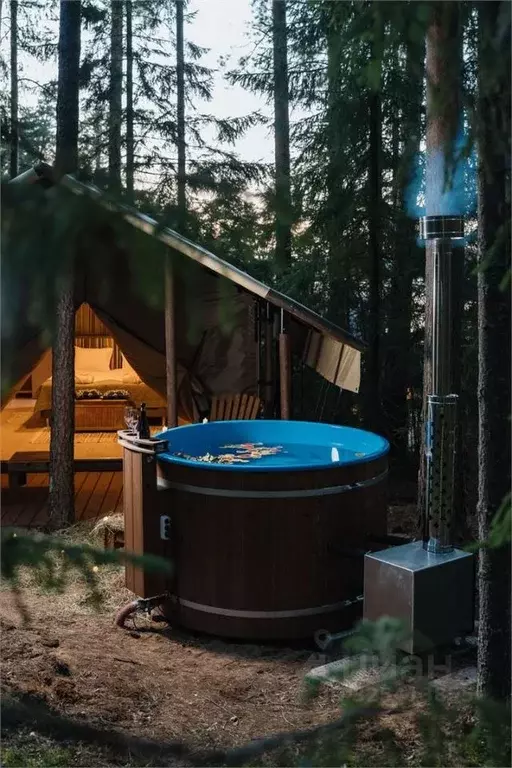 Дом в Ленинградская область, Выборгский район, Первомайское с/пос, ... - Фото 2