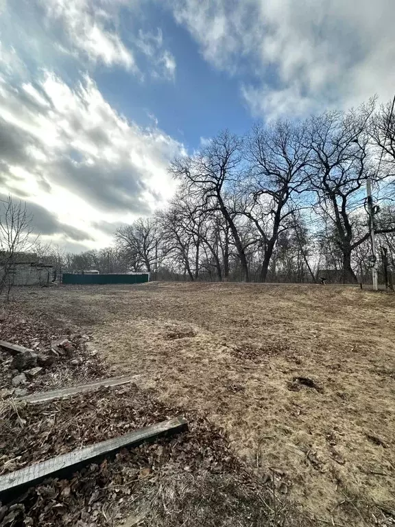 Участок в Волгоградская область, Среднеахтубинский район, ... - Фото 2