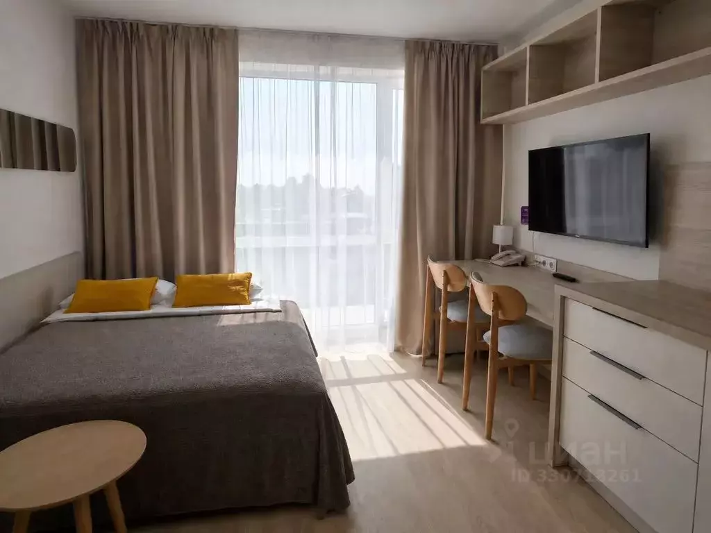 Студия Санкт-Петербург Социалистическая ул., 21 (19.0 м) - Фото 1