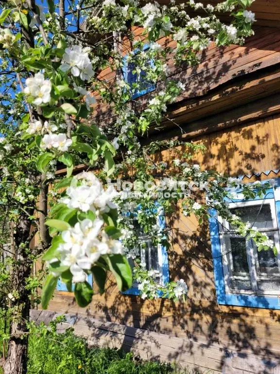 Дом в Кировская область, Киров Соломинцы сл., Садовая ул., 4 (45 м) - Фото 0