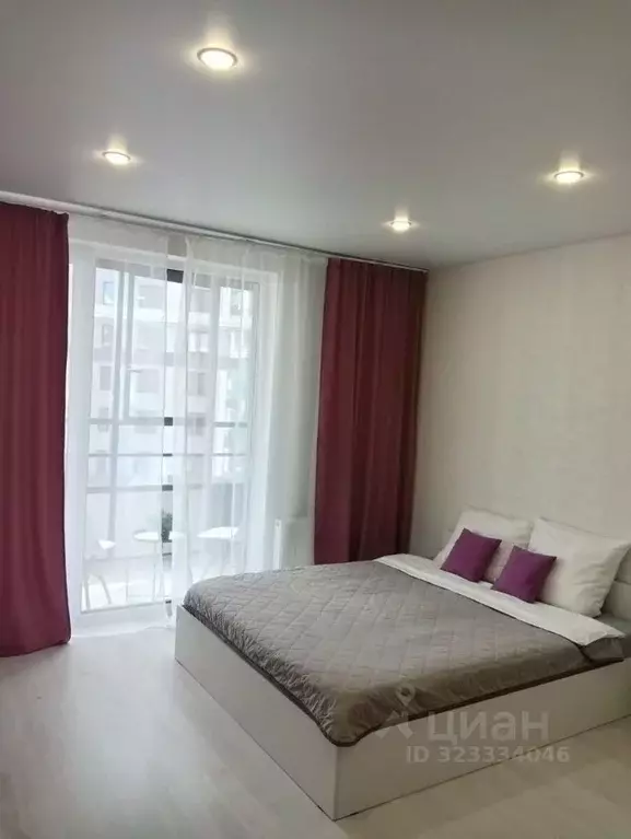 Студия Санкт-Петербург пос. Шушары, просп. Новгородский, 2к3 (24.0 м) - Фото 2