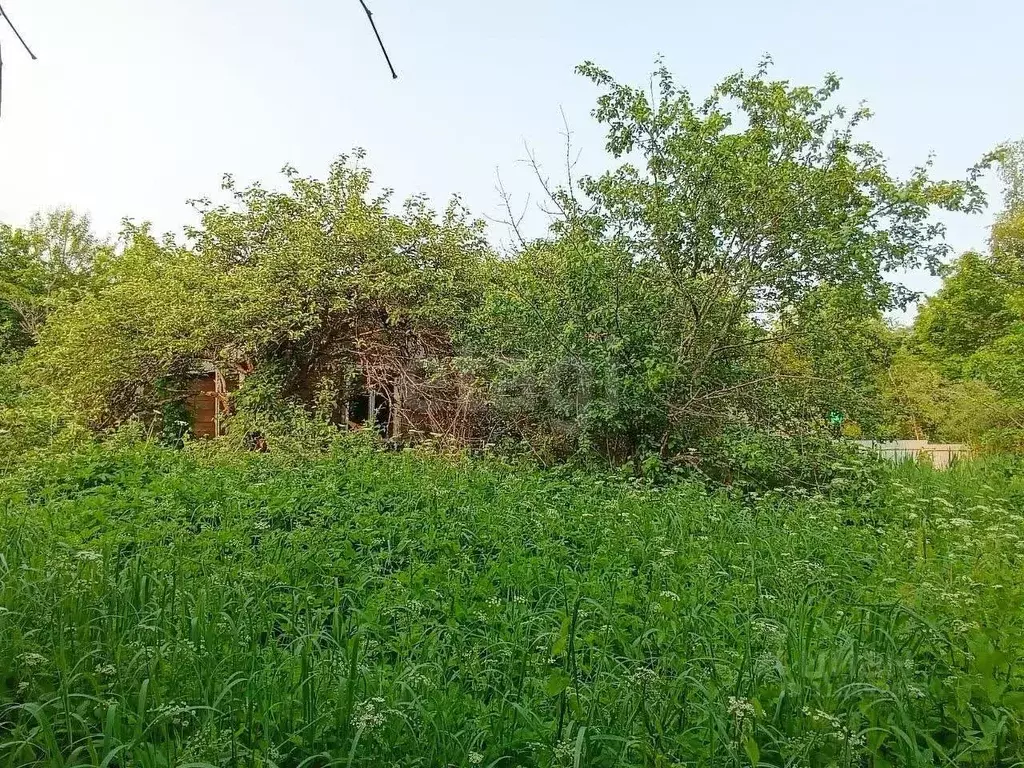Участок в Смоленская область, Смоленск Дубровенское садоводческое ... - Фото 0