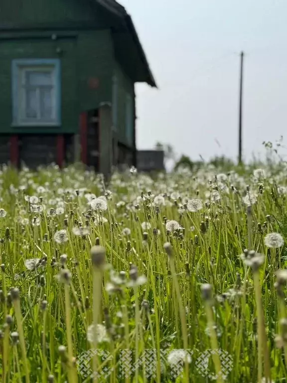 Дача 28,9 м на участке 18 сот. - Фото 0
