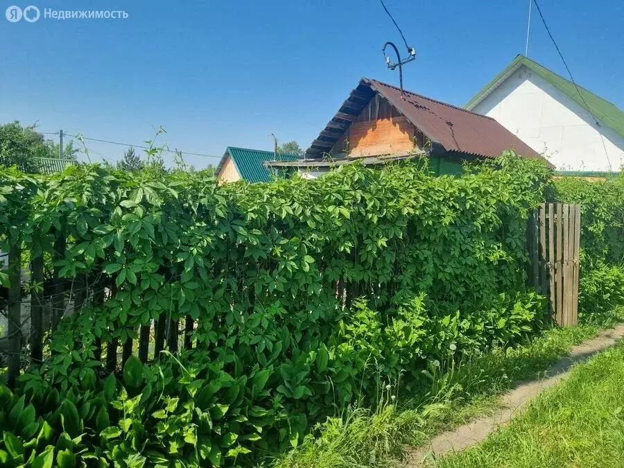 Участок в Новосибирск, садовое товарищество Виктория (3.5 м) - Фото 0