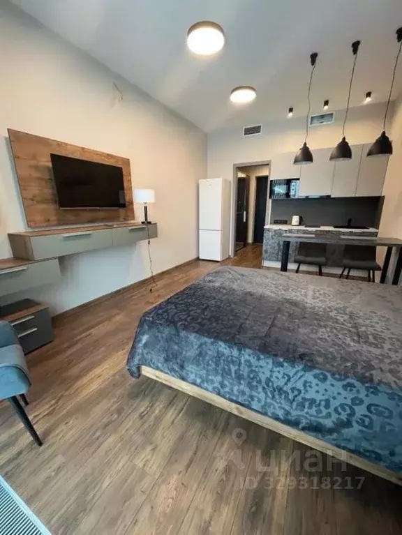 Студия Санкт-Петербург наб. Макарова, 58 (30.0 м) - Фото 1