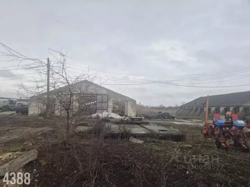 Помещение свободного назначения в Краснодарский край, Северский район, ... - Фото 2