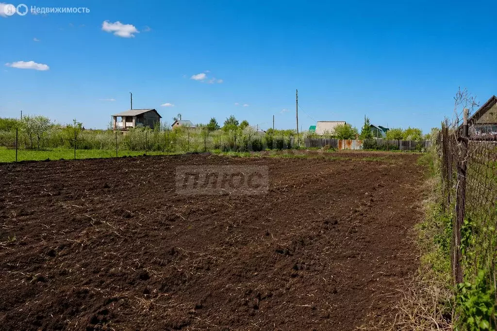 Участок в Ивановский сельсовет, СТ Союз (5 м) - Фото 1