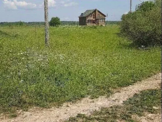 Участок в Новгородская область, Шимское городское поселение, д. Голино ... - Фото 0