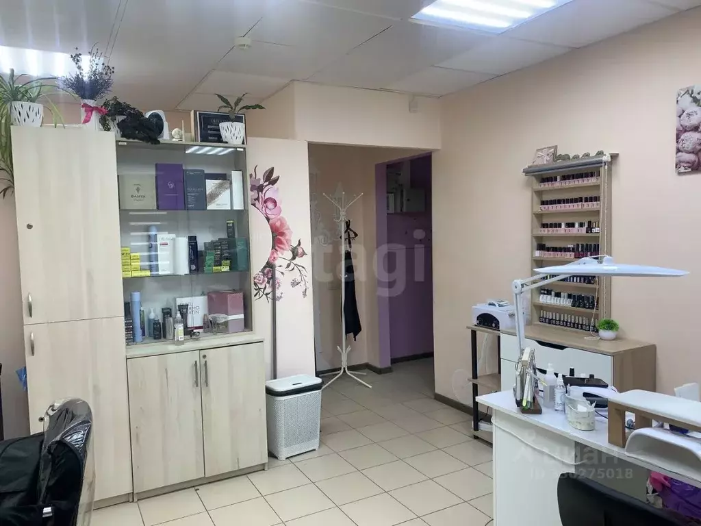 Помещение свободного назначения в Воронежская область, Семилуки ул. ... - Фото 1
