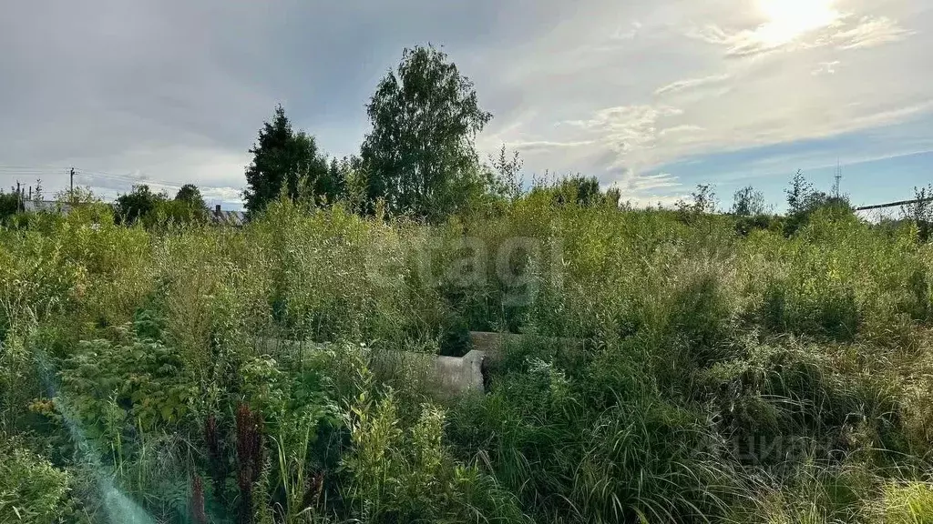 Участок в Вологодская область, Череповецкий район, Судское с/пос, пос. ... - Фото 1
