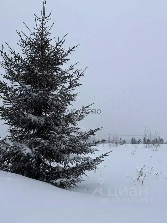 Участок в Кировская область, Киров ул. Афанасьевская (10.0 сот.) - Фото 2