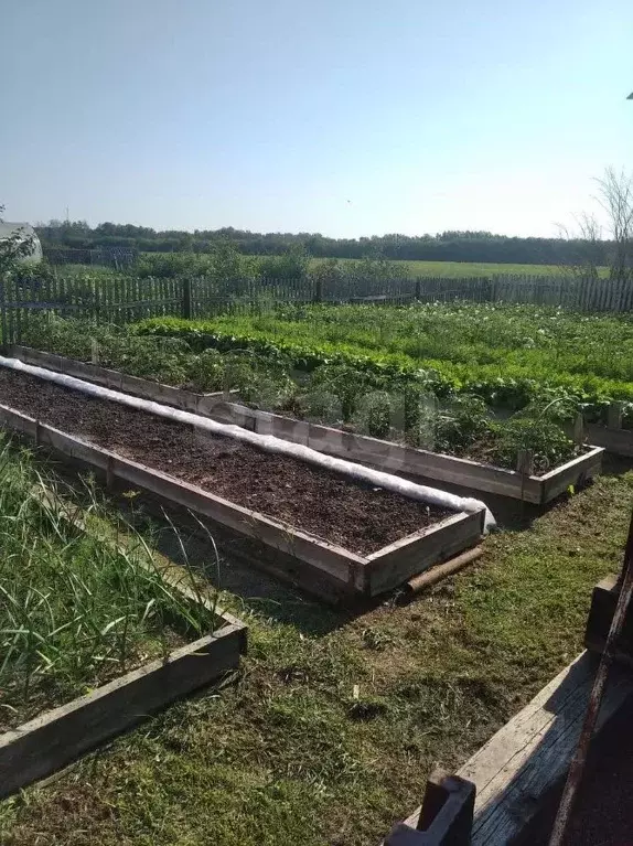 Дом в Омская область, Исилькуль ул. Жукова, 40 (136 м) - Фото 1