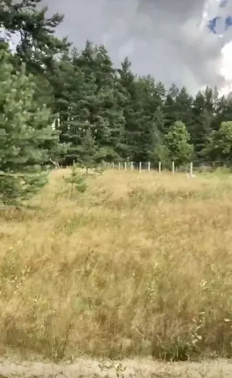 Участок в Московская область, Шатура муниципальный округ, д. ... - Фото 1