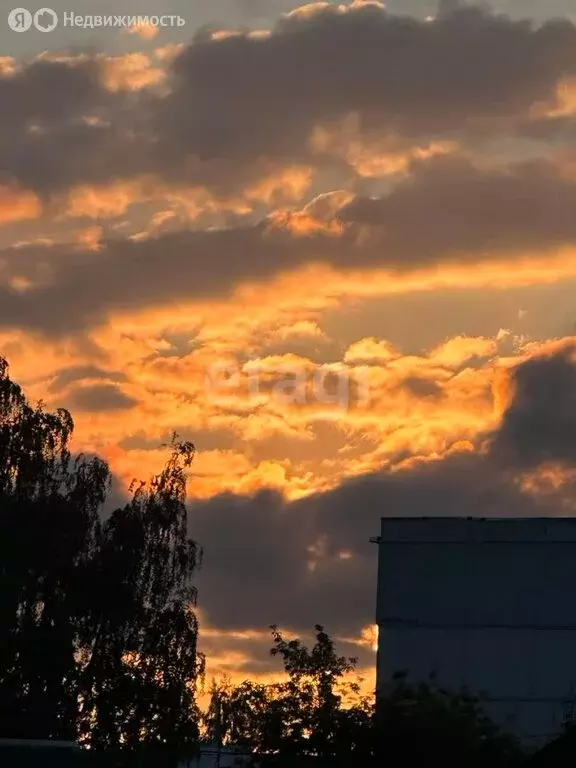 Участок в Венёв, улица Большие Городенцы (6 м) - Фото 1