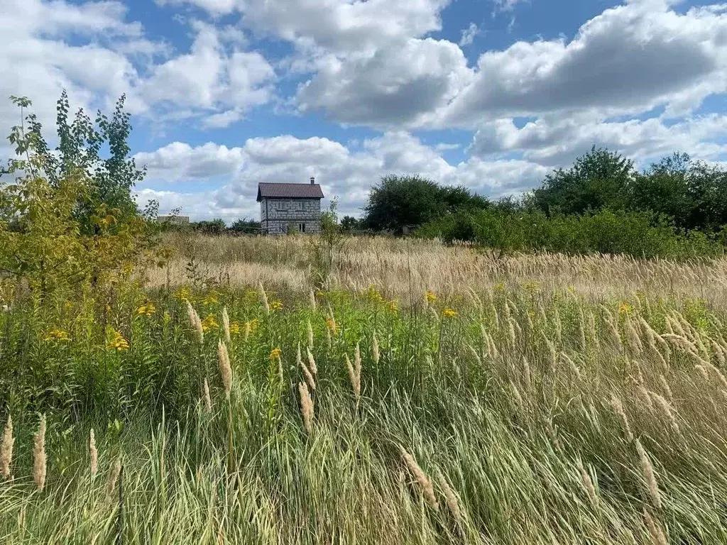 Участок в Белгородская область, Строитель Яковлевский городской округ, ... - Фото 1