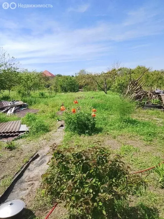 Участок в Ставрополь, садовое товарищество Встреча, 788 (6.09 м) - Фото 0
