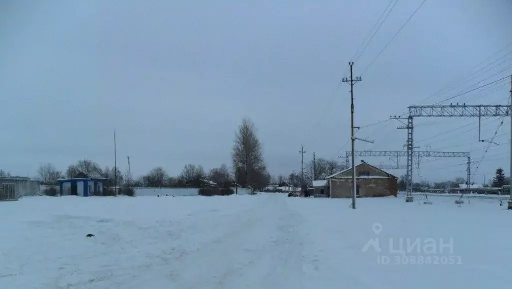 Производственное помещение в Ленинградская область, Волосовский район, ... - Фото 1