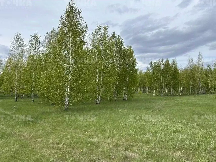 Участок в Челябинская область, Чебаркульский район, Травниковское ... - Фото 1