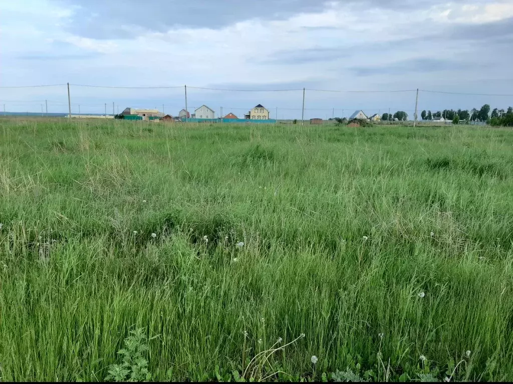 Малошильнинское сельское поселение тукаевского. Тукай Малошильнинское поселение куплю пшеницу.