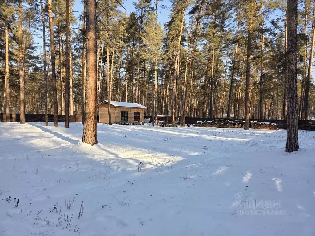 Дом в Алтай, Чемальский район, пос. Усть-Сема ул. Чуйская (35 м) - Фото 1