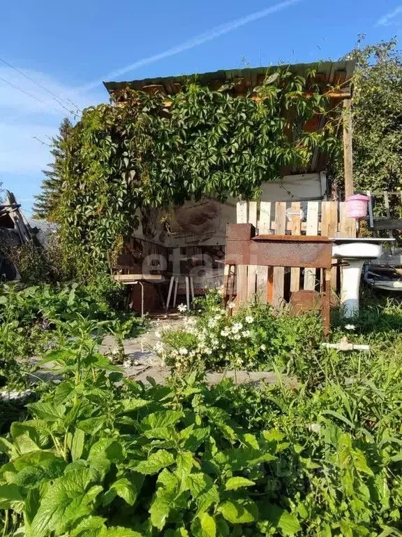 Дом в Челябинская область, Чебаркуль Металлург-2 СНТ,  (10 м) - Фото 1