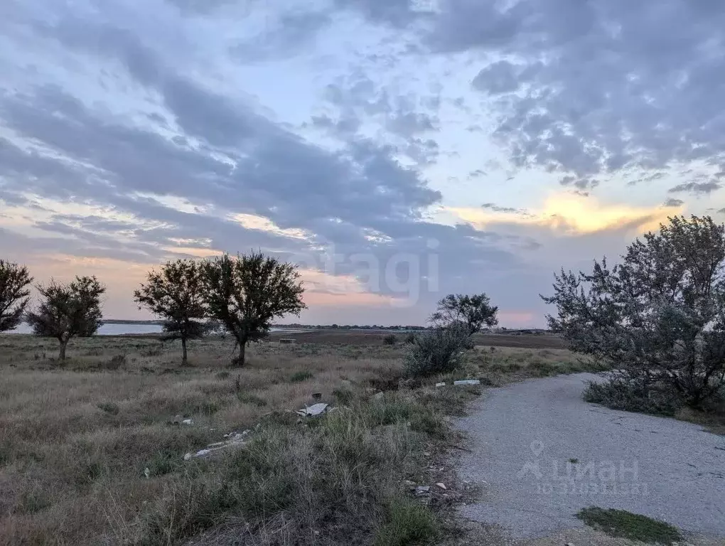 Участок в Крым, Черноморский район, с. Межводное  (4.11 сот.) - Фото 0