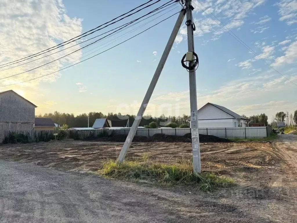 Участок в Тюменская область, Тюмень Якорь садовое товарищество, ул. ... - Фото 2