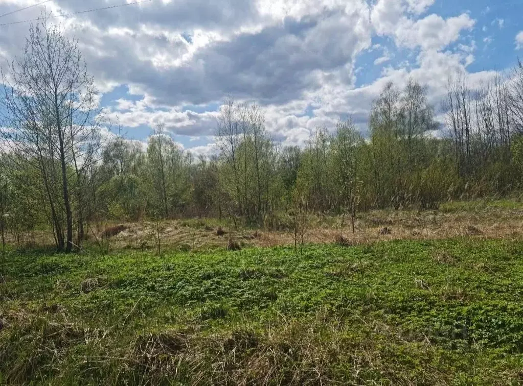 Участок в Ярославская область, Угличский район, Головинское с/пос, д. ... - Фото 2