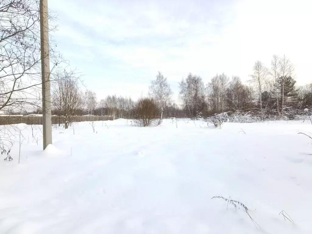 Участок в Московская область, Талдомский городской округ, д. Акишево  ... - Фото 1