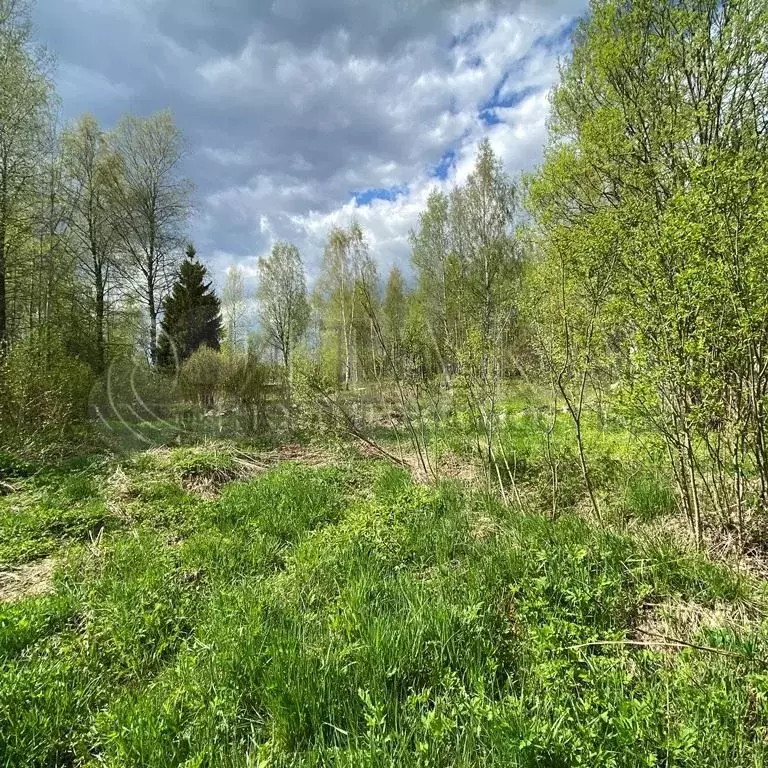 Участок 50 сот. (личное подсобное хозяйство (лпх)) - Фото 1