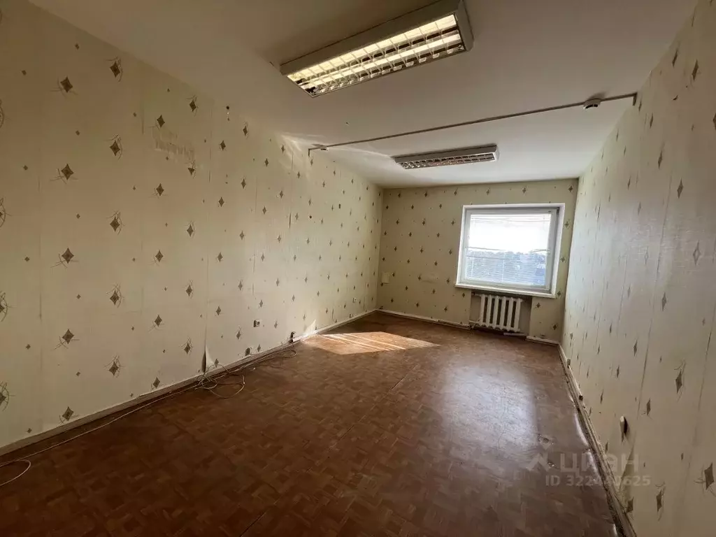 Помещение свободного назначения в Псковская область, Псков Ольгинская ... - Фото 1