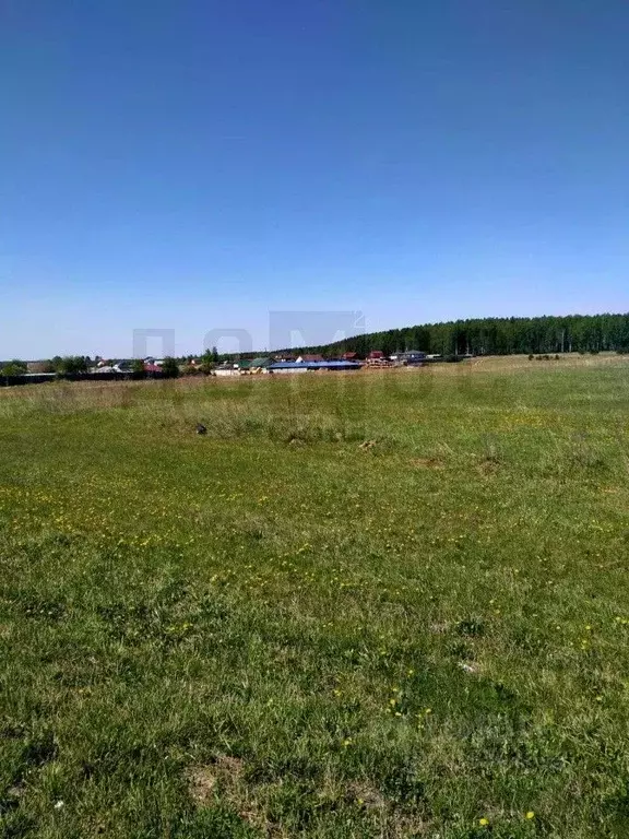 Участок в Свердловская область, Белоярский пгт ул. Свердлова, 107 ... - Фото 1