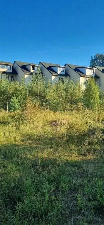 Участок в Ленинградская область, Всеволожский район, Колтушское ... - Фото 2