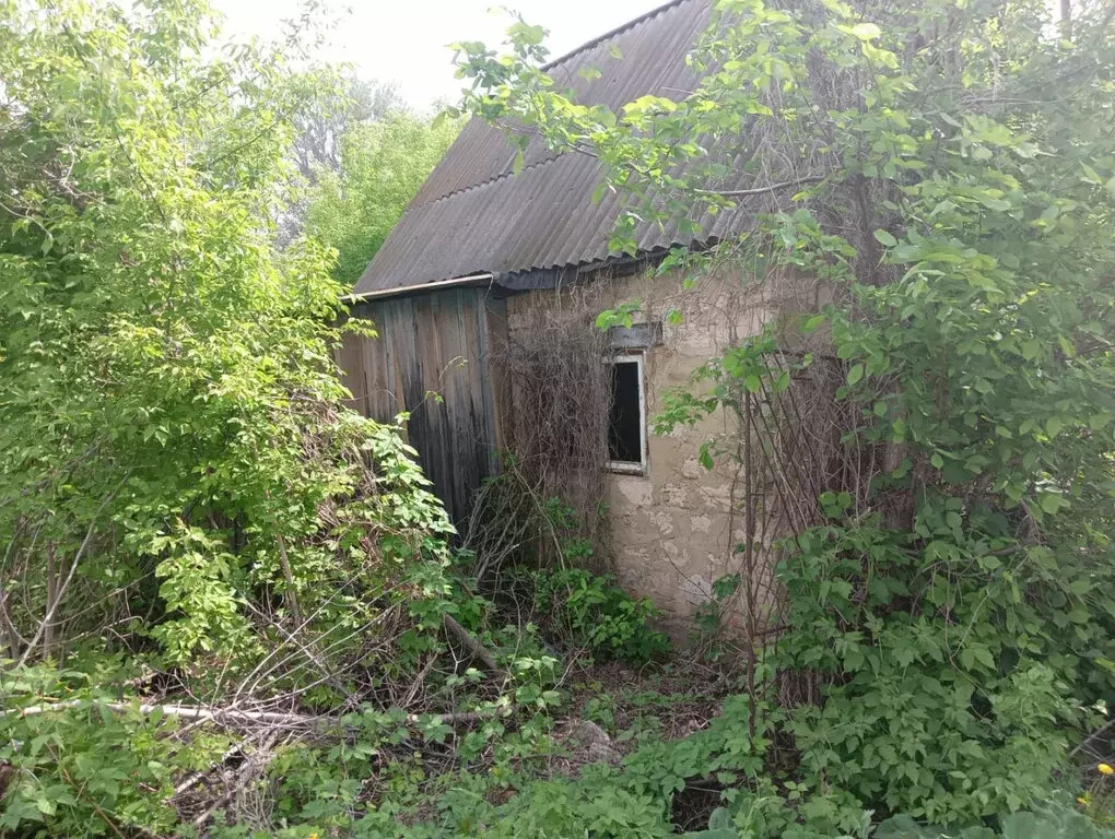Участок в Оренбургский район, Ленинский сельсовет, СНТ Хутор ... - Фото 1