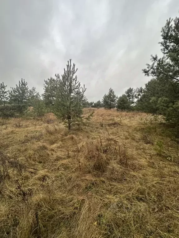 Участок в Московская область, Егорьевск муниципальный округ, д. ... - Фото 2