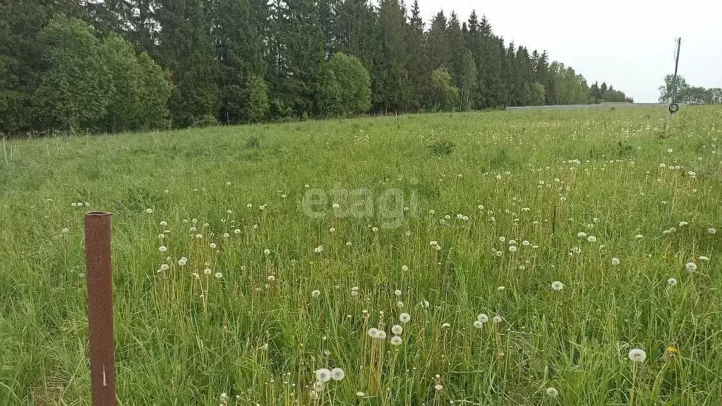 Участок в Калужская область, Совхоз Боровский с/пос, д. Тимашово  ... - Фото 0
