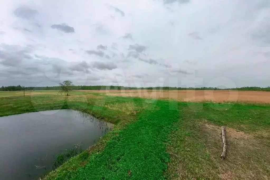 Участок 14,3 сот. (СНТ, ДНП) - Фото 0
