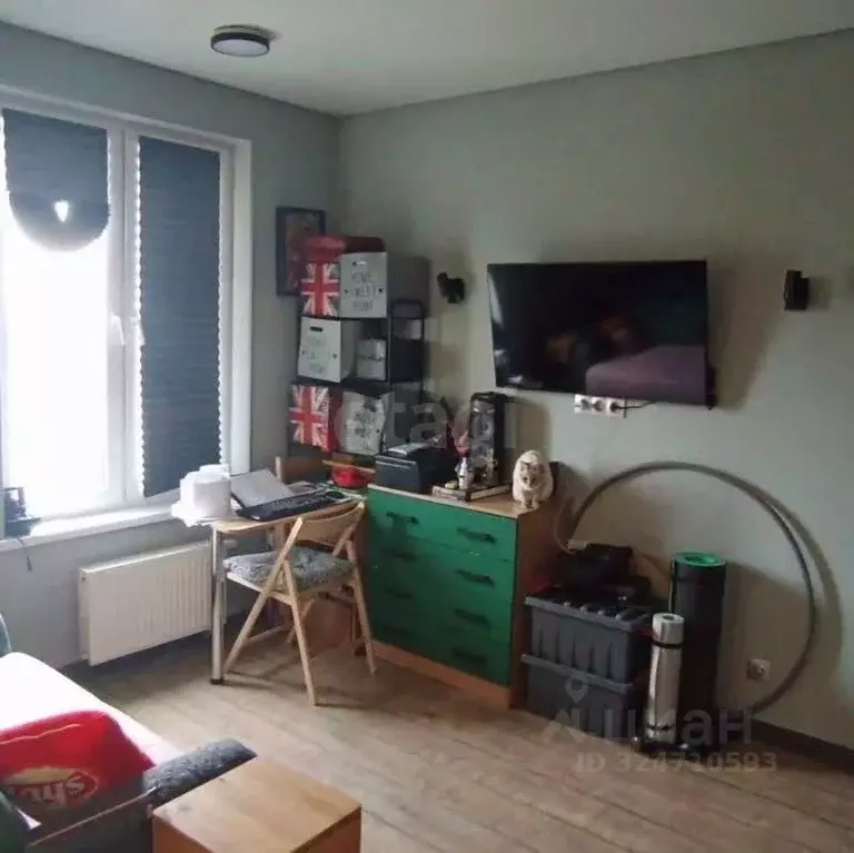 Студия Московская область, Мытищи городской округ, д. Бородино ул. ... - Фото 1