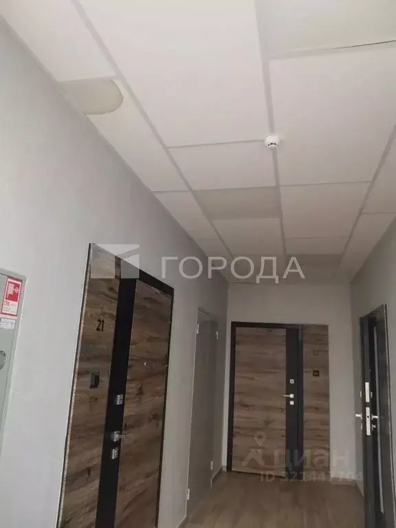 Студия Новосибирская область, Новосибирск пл. Райсовета, 14 (53.0 м) - Фото 1