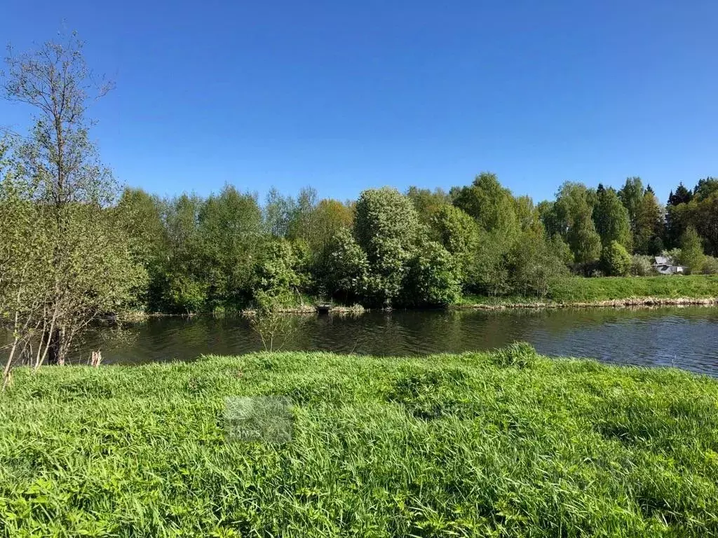 Участок в Московская область, Лосино-Петровский городской округ, с. ... - Фото 2